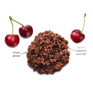 dark chocolate + cherry ingredients w crisp